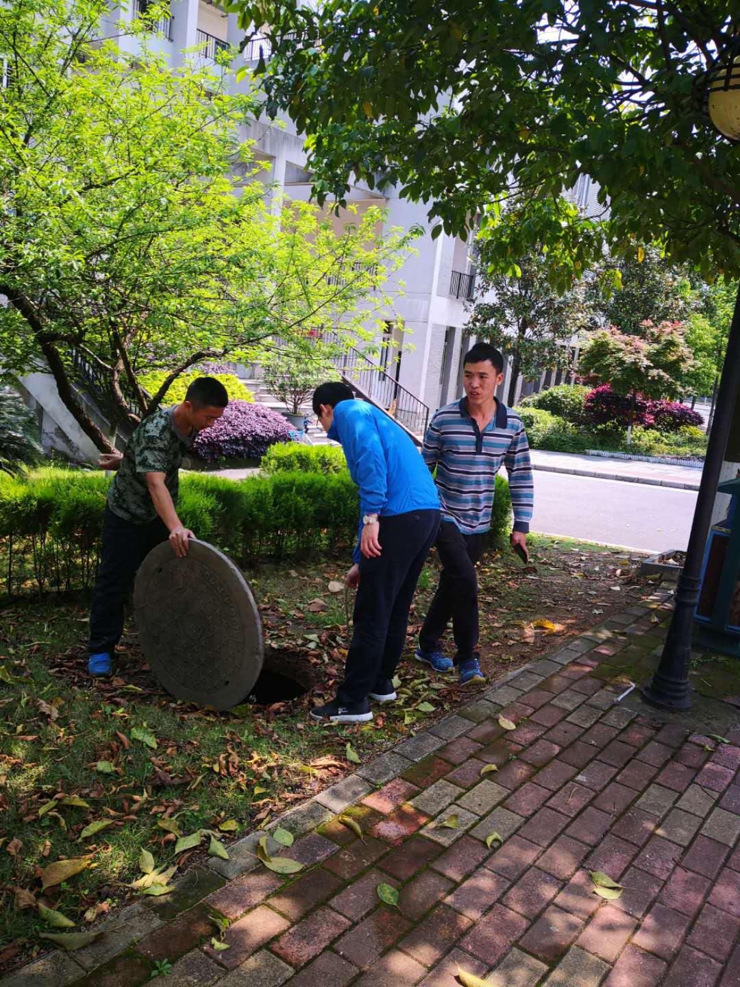 香港精准12码