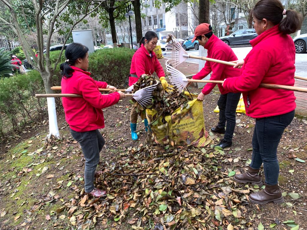 香港精准12码