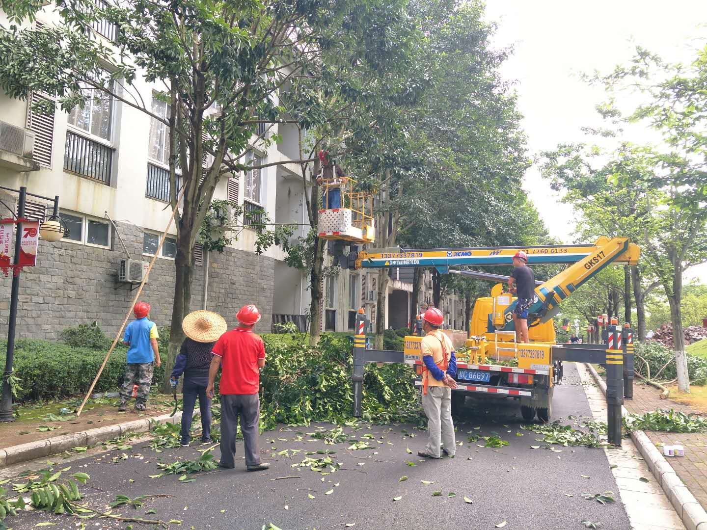 香港精准12码