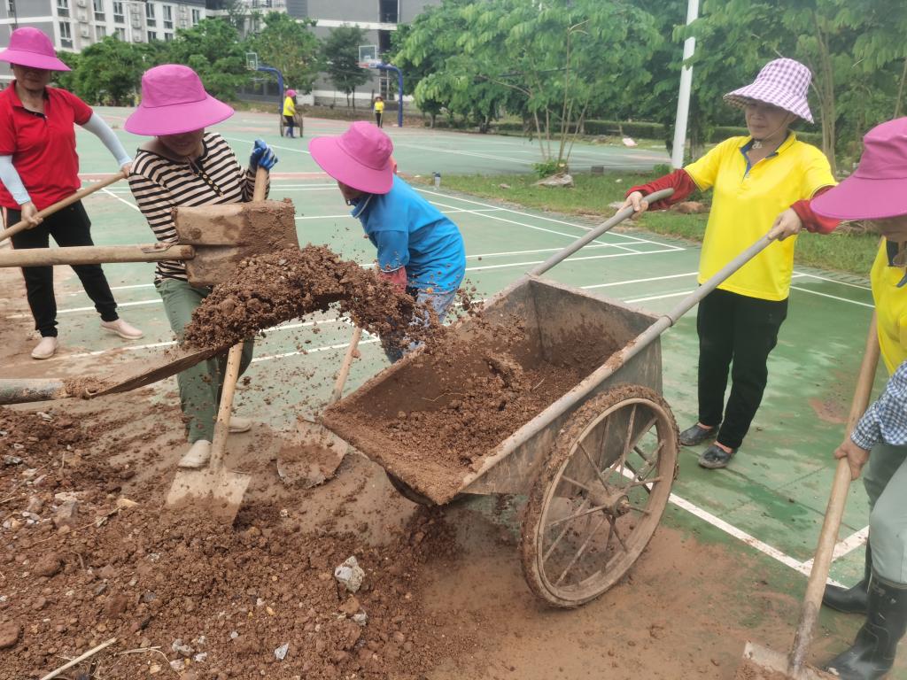 香港精准12码