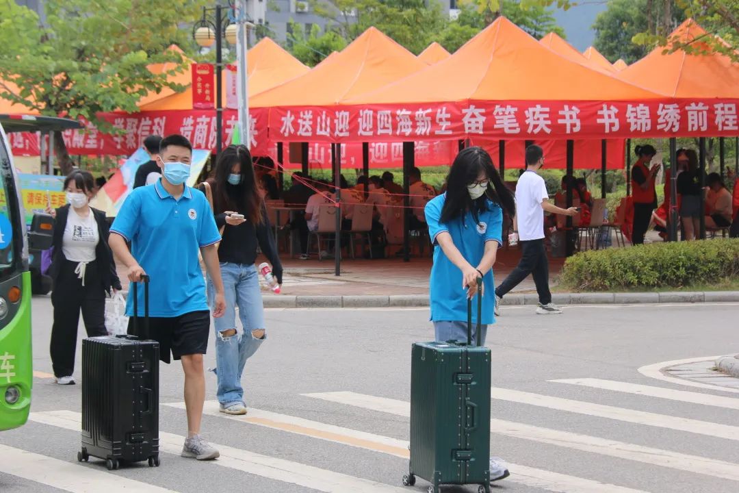 香港精准12码