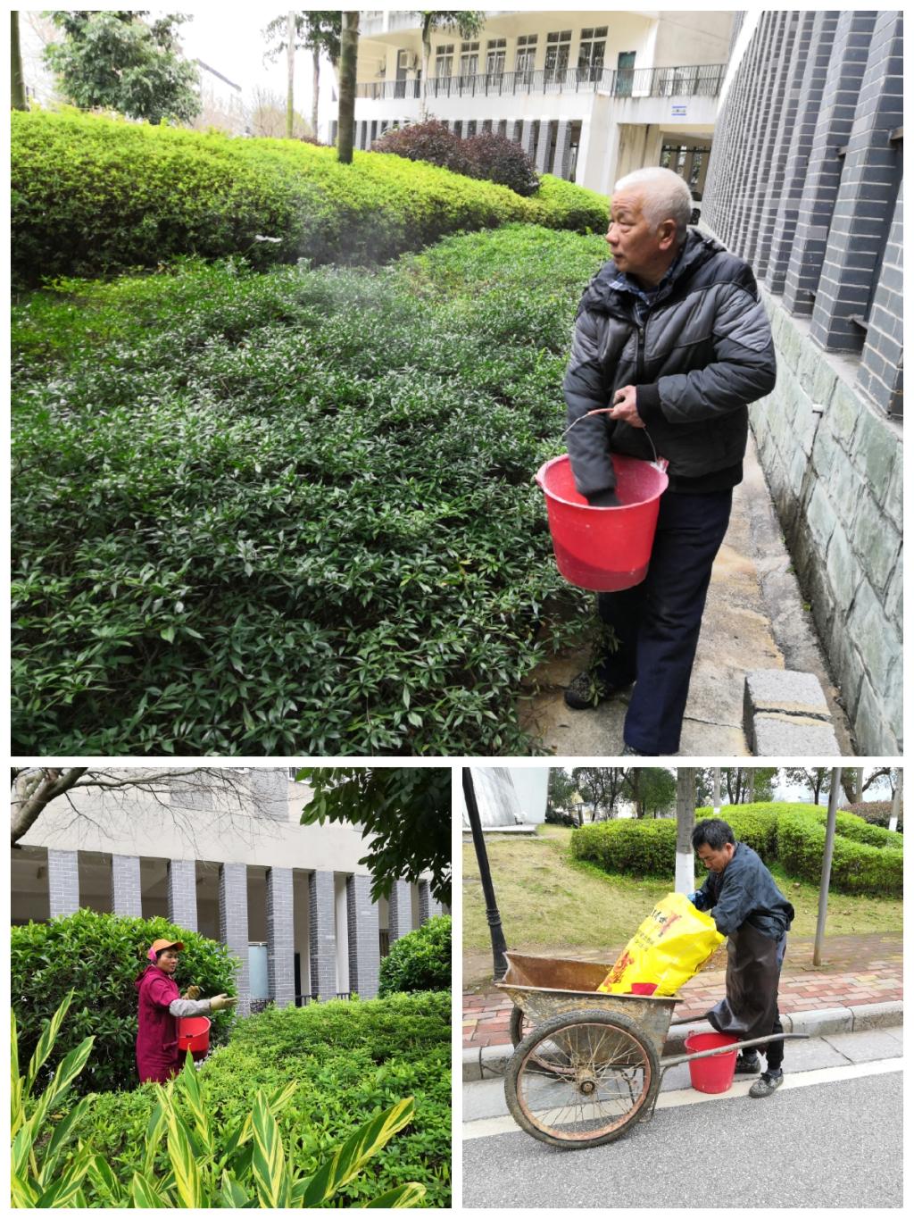 香港精准12码