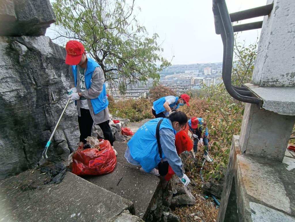 香港精准12码