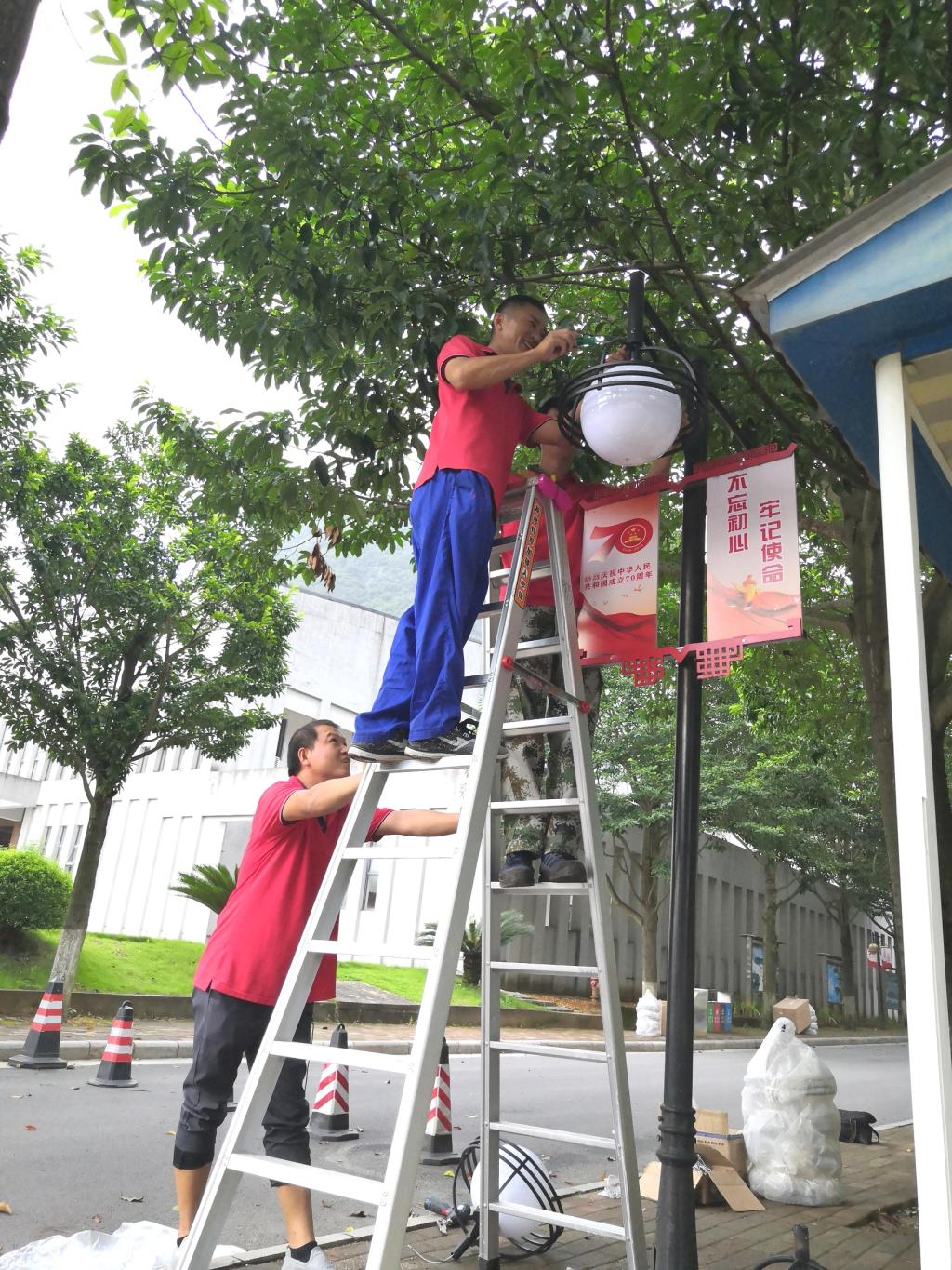 香港精准12码