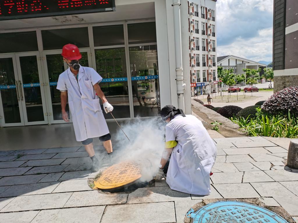 香港精准12码