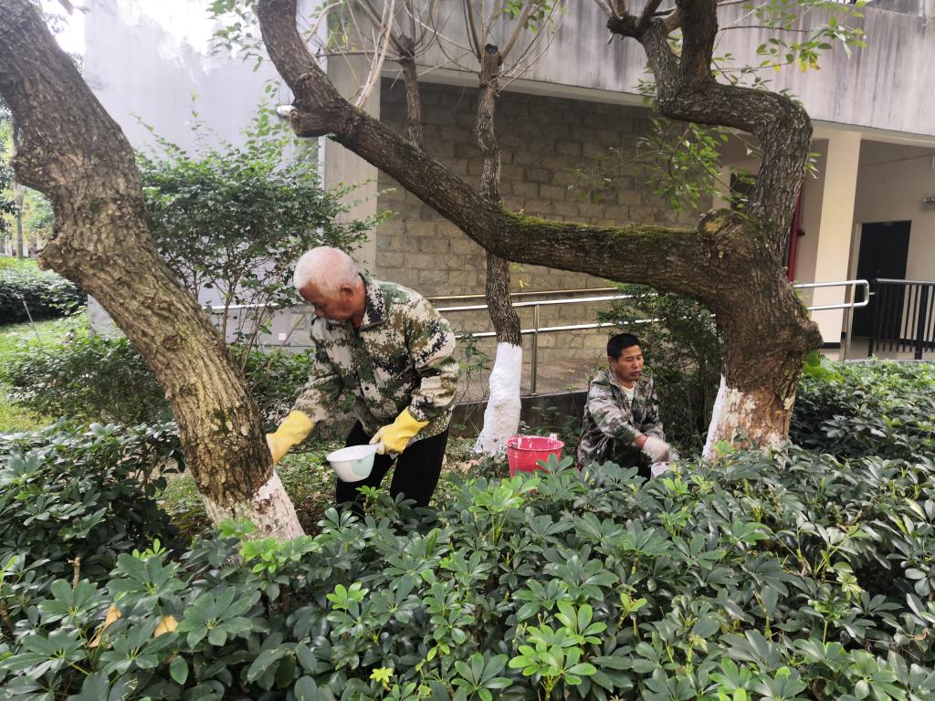 香港精准12码