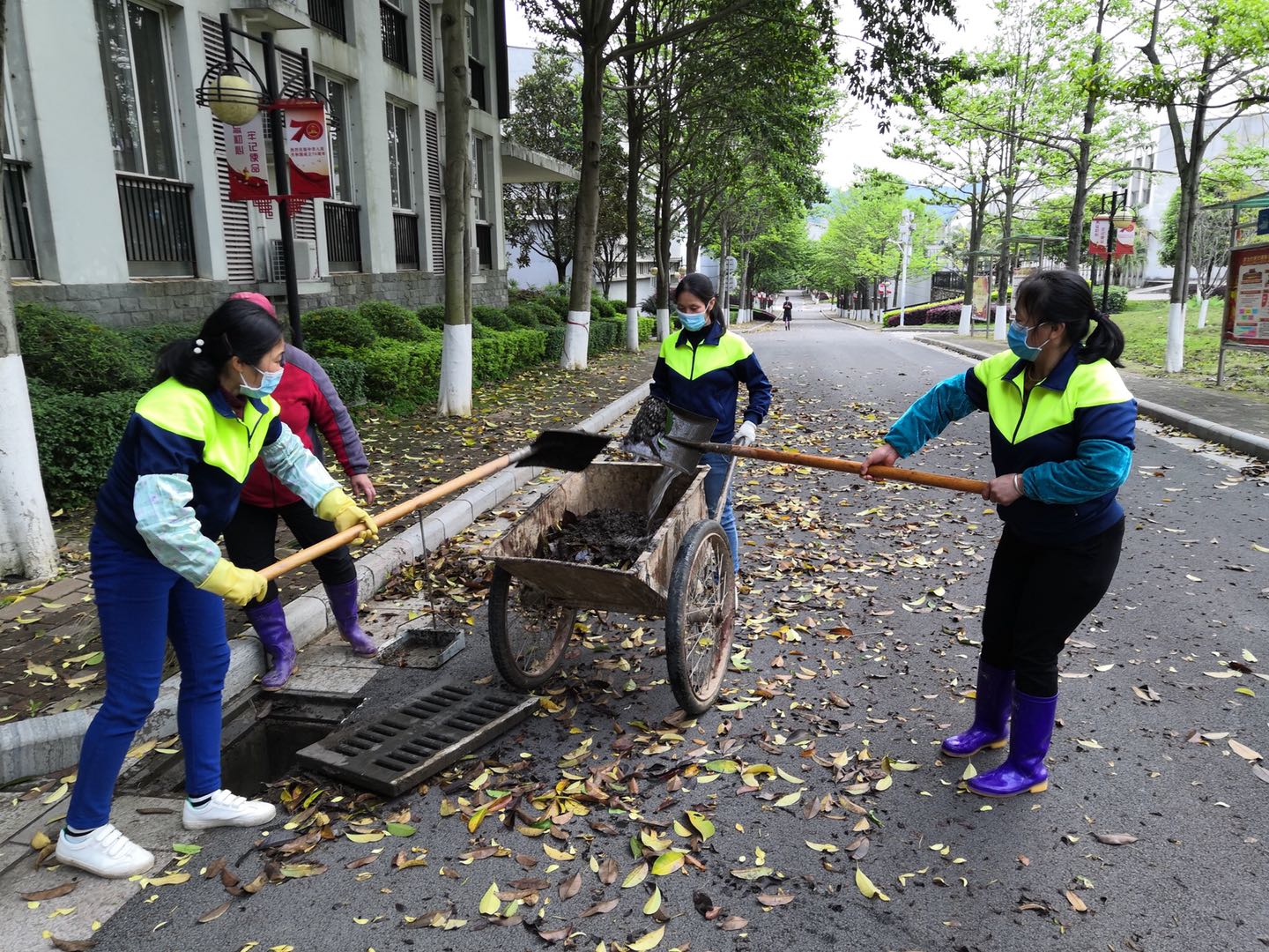 香港精准12码