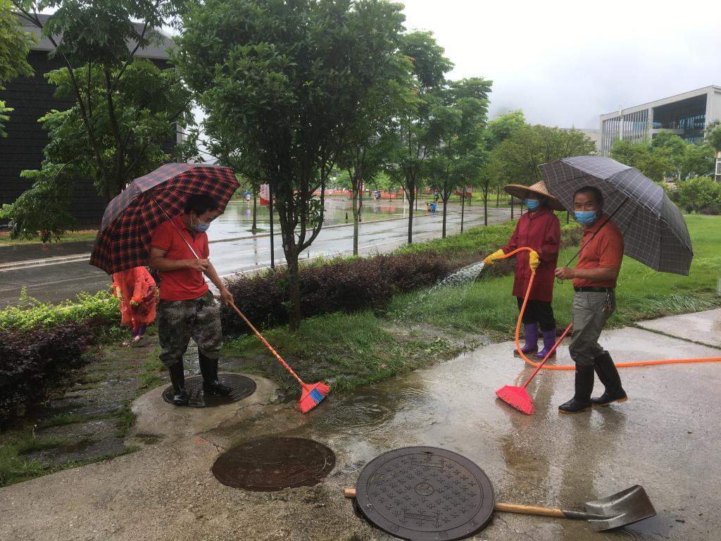 香港精准12码