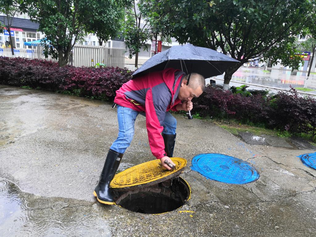 香港精准12码