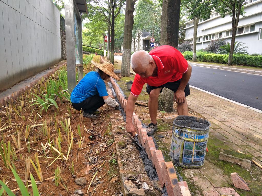 香港精准12码