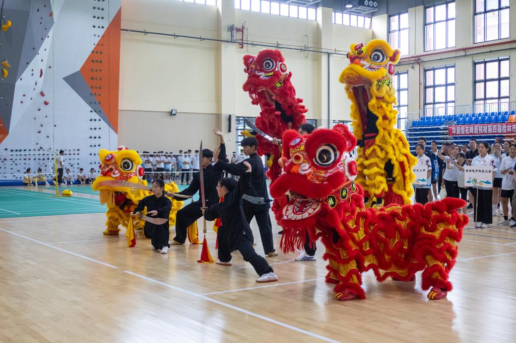 香港精准12码