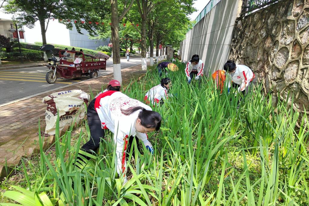 香港精准12码