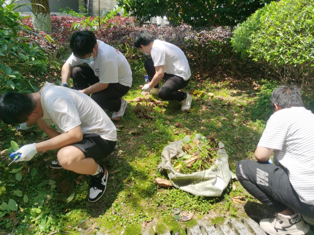 香港精准12码