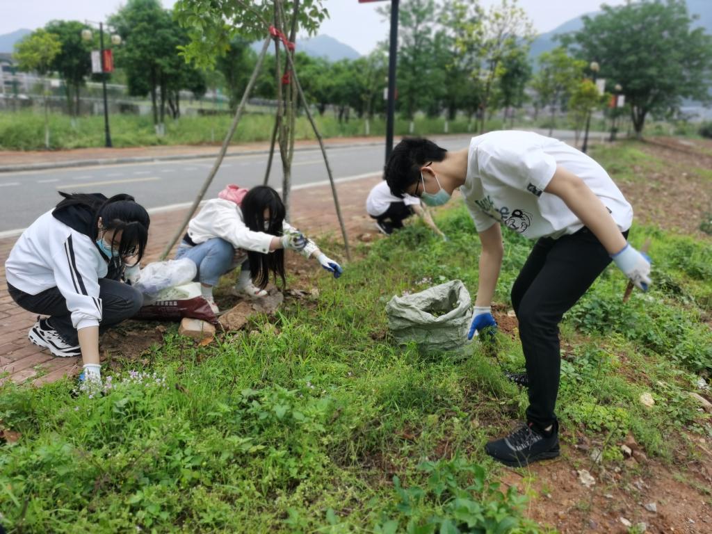 香港精准12码