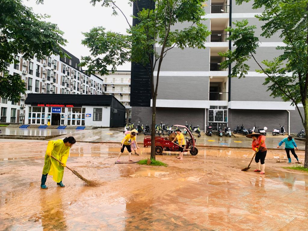 香港精准12码