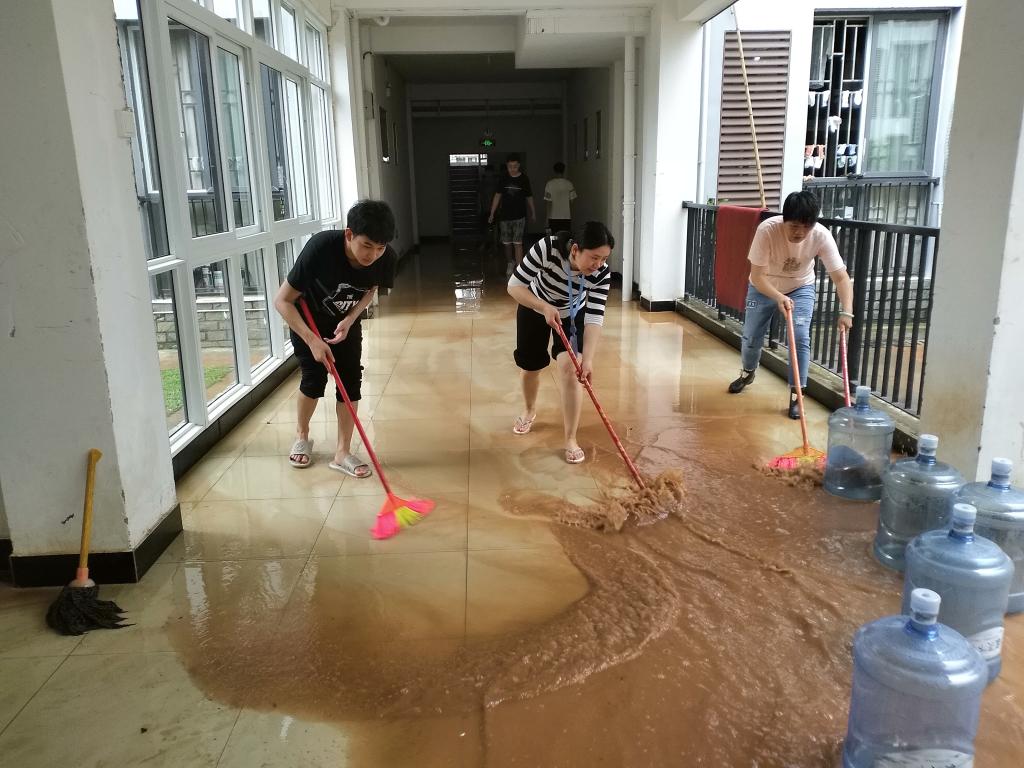 香港精准12码