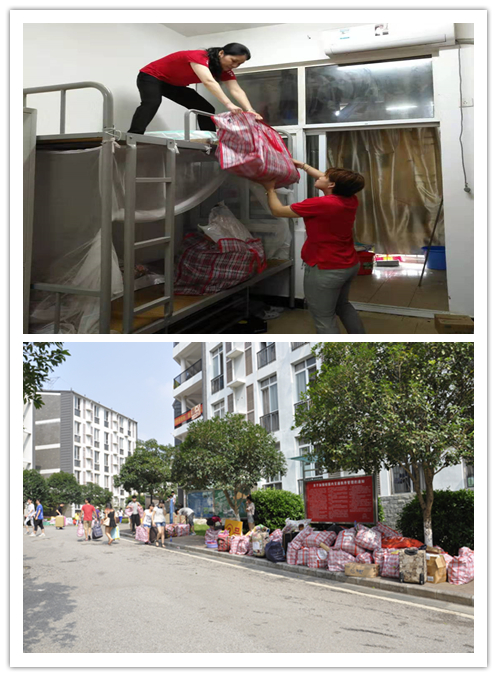 香港精准12码